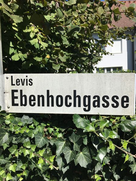 Chemiefabrik in Feldkirch-Levis