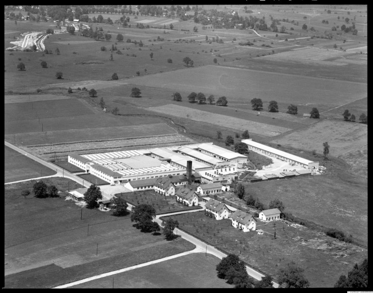 Kunert - nicht in Nofels