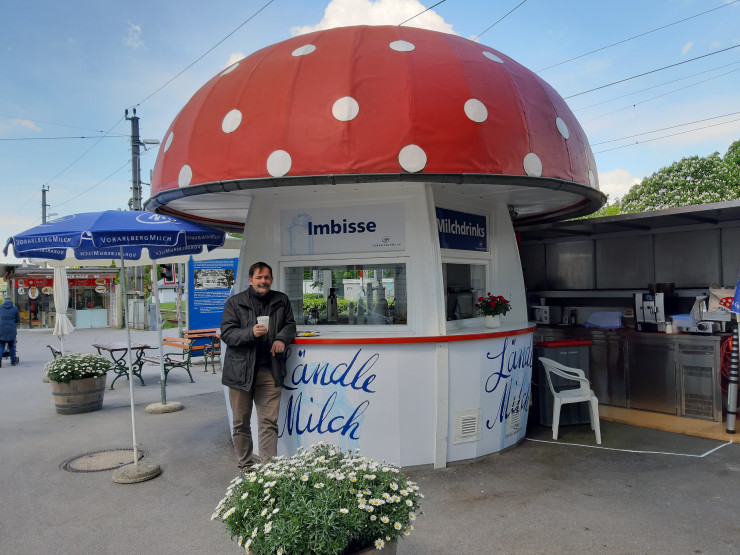 Milchpilz in Bregenz